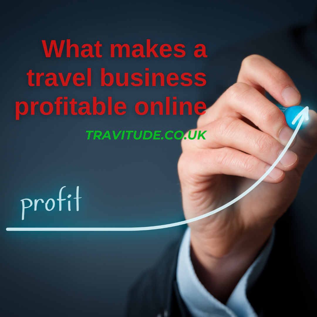 is travel business profitable in india